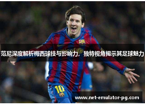 范尼深度解析梅西球技与影响力，独特视角揭示其足球魅力