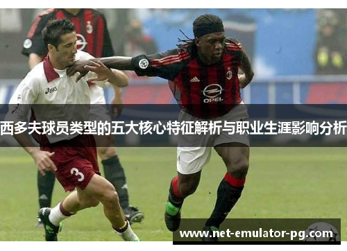 西多夫球员类型的五大核心特征解析与职业生涯影响分析 西多夫球员类型的五大核心特征解析与职业生涯影响分析
