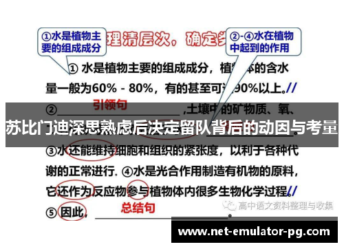 苏比门迪深思熟虑后决定留队背后的动因与考量 苏比门迪深思熟虑后决定留队背后的动因与考量