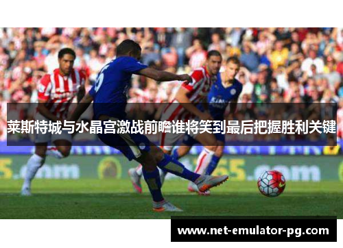 莱斯特城与水晶宫激战前瞻谁将笑到最后把握胜利关键 莱斯特城与水晶宫激战前瞻谁将笑到最后把握胜利关键