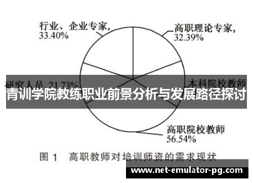 青训学院教练职业前景分析与发展路径探讨