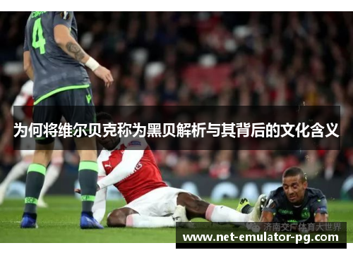 为何将维尔贝克称为黑贝解析与其背后的文化含义 为何将维尔贝克称为黑贝解析与其背后的文化含义