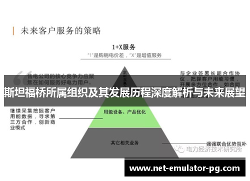 斯坦福桥所属组织及其发展历程深度解析与未来展望
