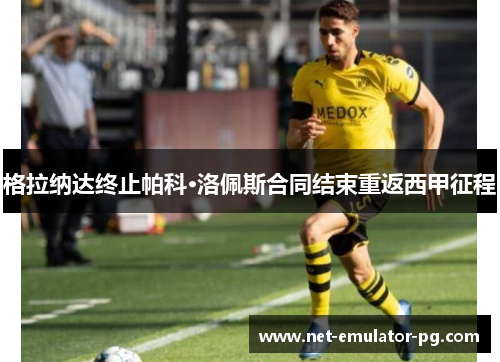 格拉纳达终止帕科·洛佩斯合同结束重返西甲征程