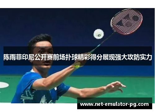 陈雨菲印尼公开赛前场扑球精彩得分展现强大攻防实力